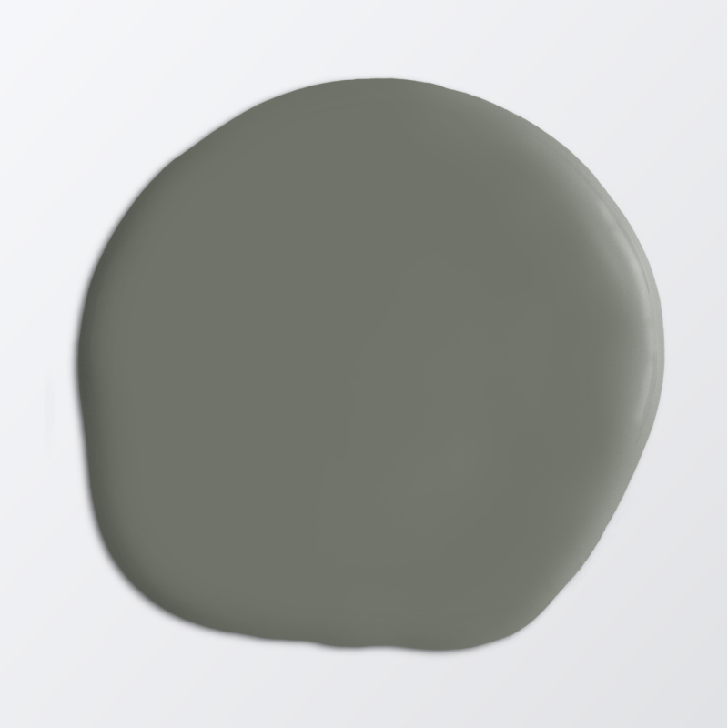 Picture of Ceiling paint - Colour W101 Vårskugga