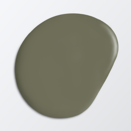 Picture of Ceiling paint - Colour W115 Skogsmossa