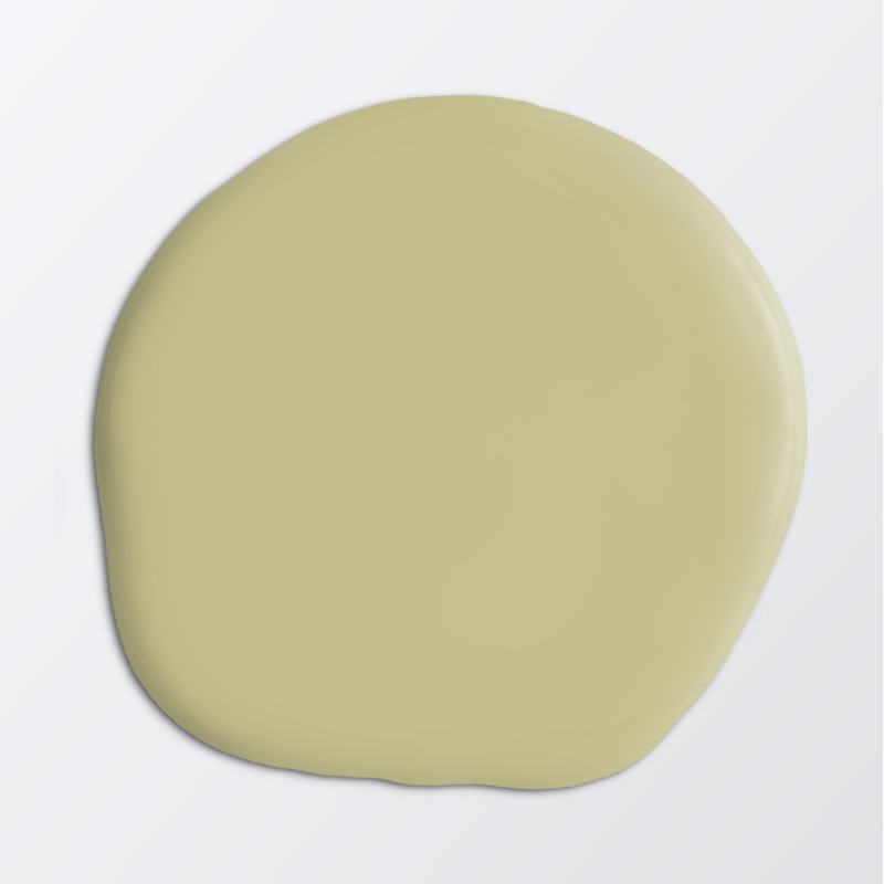 Picture of Carpentry paint - Colour W113 Pollen
