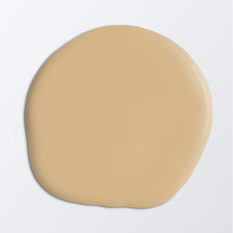Picture of Paint - Colour W153 Honey Cream by Anna Kubel