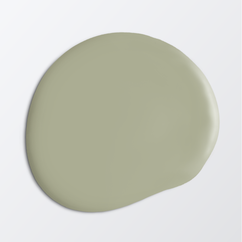Picture of Wall paint - Colour W67 Nygräs