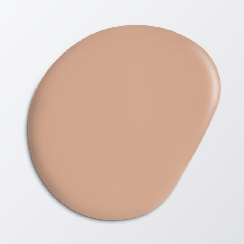 Picture of Wall paint - Colour W114 Ranunkel