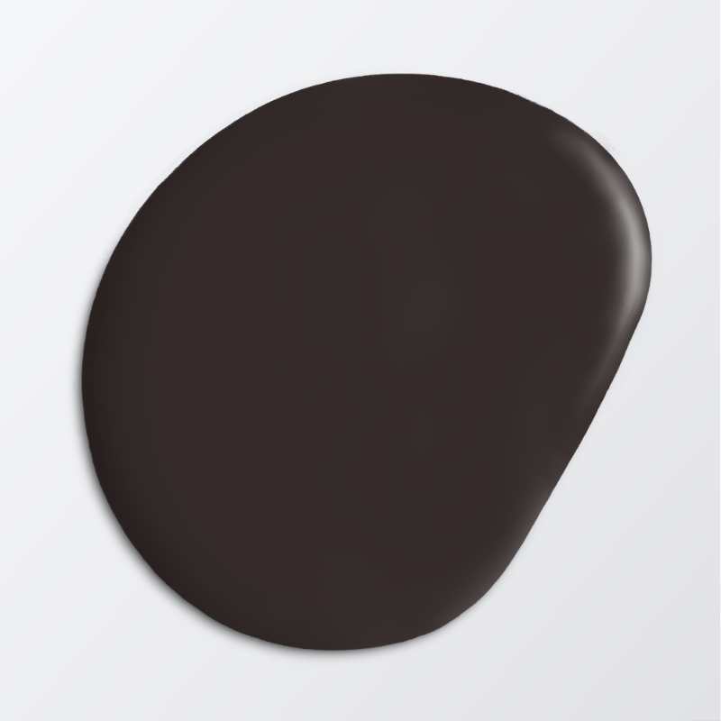 Picture of Wall paint - Colour W124 Mörk choklad