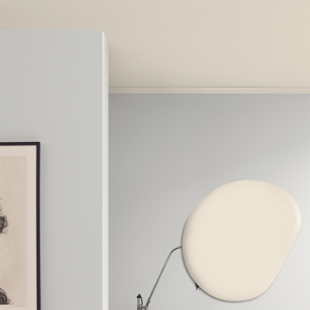 Afbeeldingen van Plafond verf - Kleur W5 Blekrosa