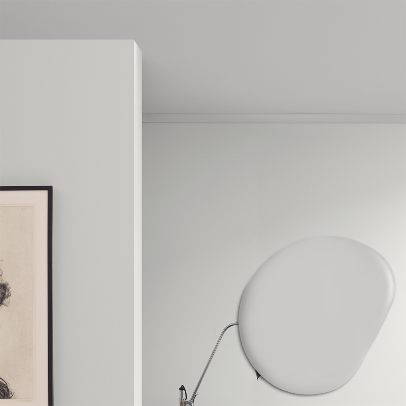 Afbeeldingen van Plafond verf - Kleur W31 Silver