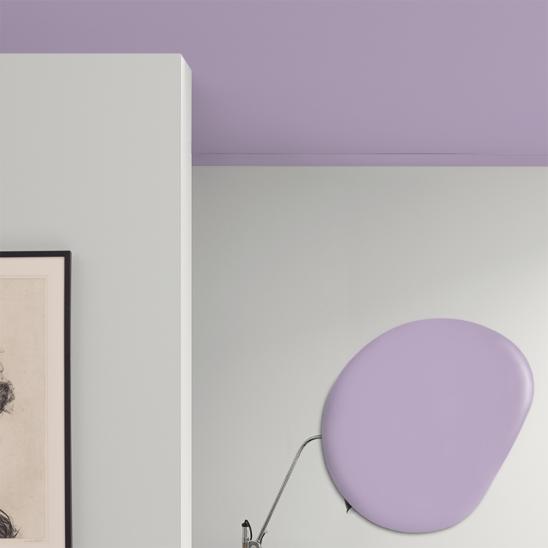 Immagine di Vernice per soffitto - Colore W49 Syrén