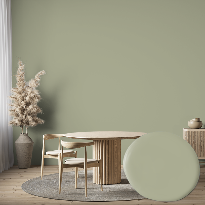 Picture of Paint - Colour W67 Nygräs