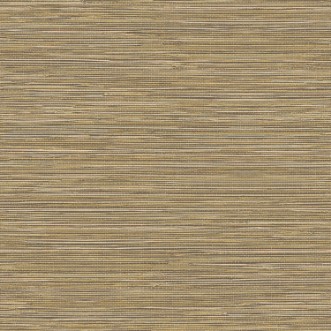 Picture of Grass Cloth - TA25042