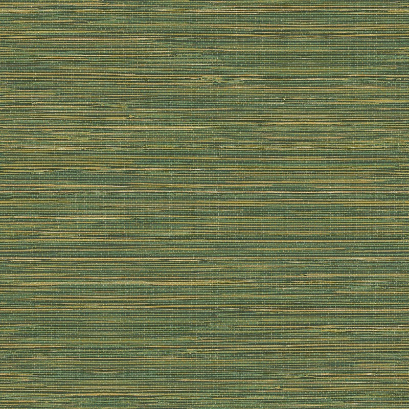 Bild på Grass Cloth - TA25045