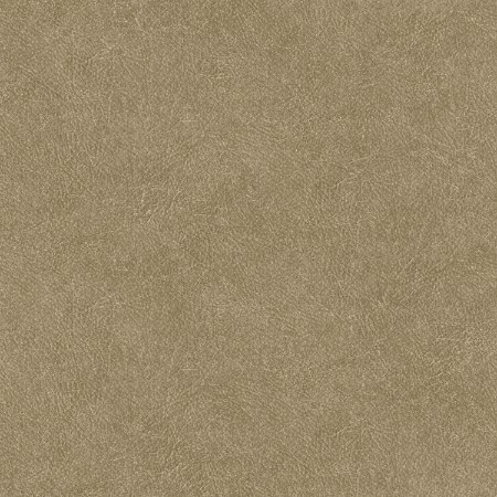 Picture of Leather Plain - TA25022