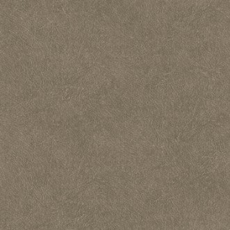 Picture of Leather Plain - TA25024