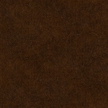 Picture of Leather Plain - TA25025