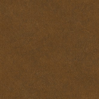 Picture of Leather Plain - TA25026