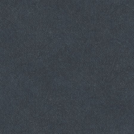 Picture of Leather Plain - TA25027
