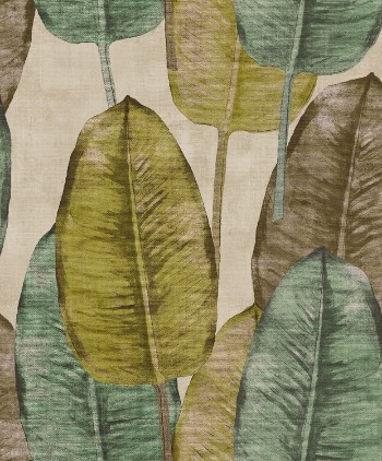 Picture of Rubber Tree - TA25081