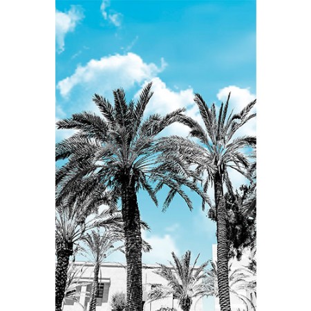 Picture of Palm - GVD24301