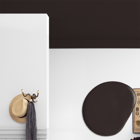 Afbeeldingen van Plafond verf - Kleur W124 Mörk choklad