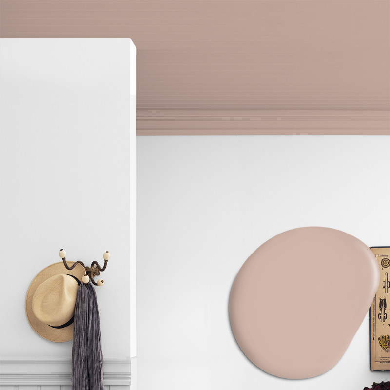 Picture of Ceiling paint - Colour W48 Rosa strössel