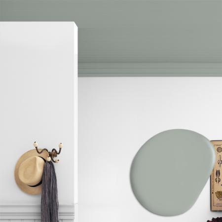 Afbeeldingen van Plafond verf - Kleur W60 Eukalyptus