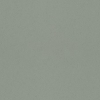 Picture of Avocado - 77002