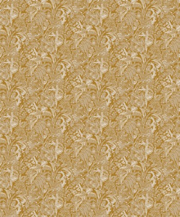 Picture of Onikar Gold - SUM502