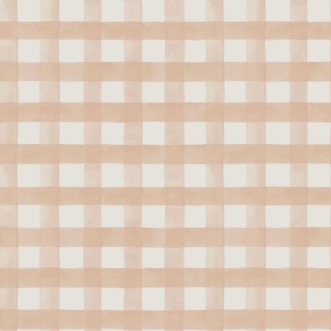 Picture of Watercolour Gingham Soft Coral - 13292