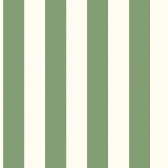 Picture of Awning Stripe - G45401