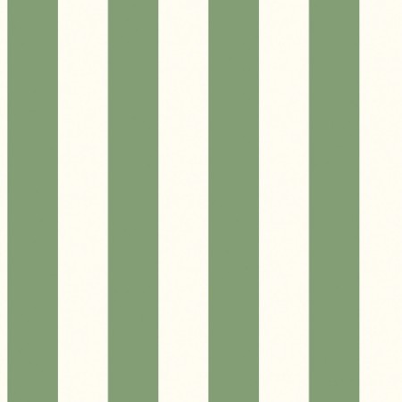 Picture of Awning Stripe - G45401