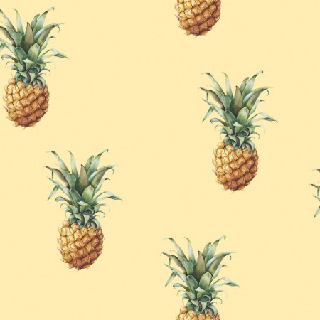 Picture of Pineapples - G45452