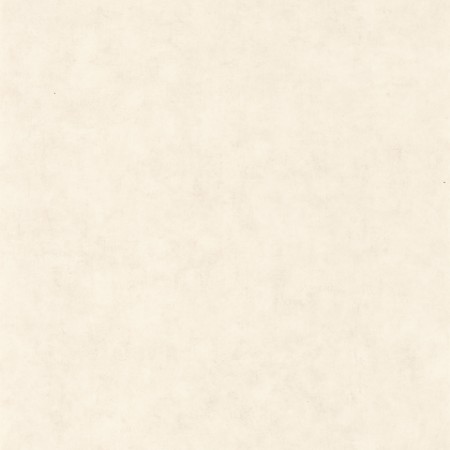 Picture of Beton Uni Blanc Beige - BET101480010
