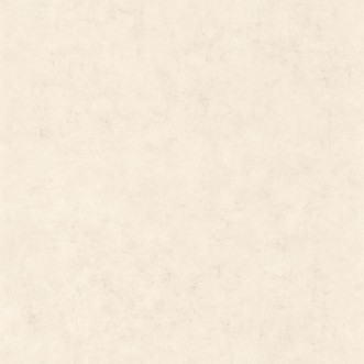 Picture of Beton Uni Taupe Beige Clair - BET101481258