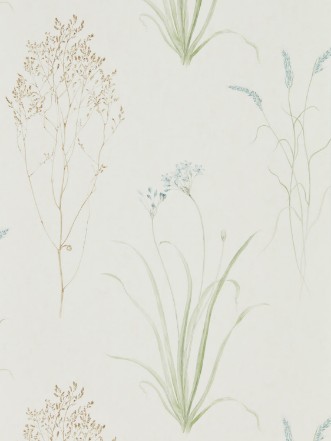 Picture of Farne Grasses Cream/Sage - DEBB216486