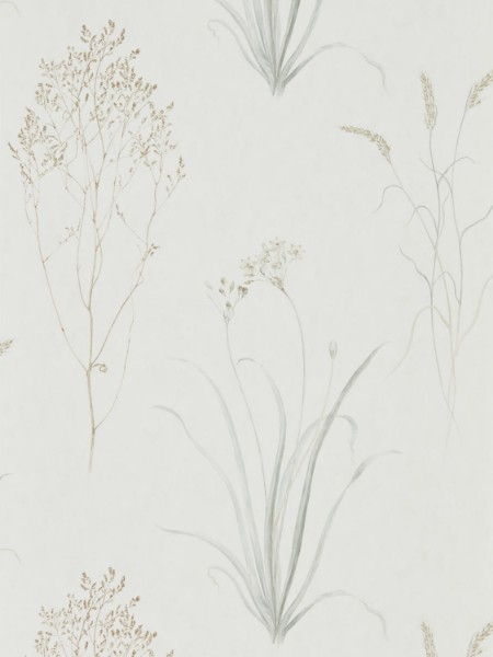 Picture of Farne Grasses Silver/Ivory - DEBB216487