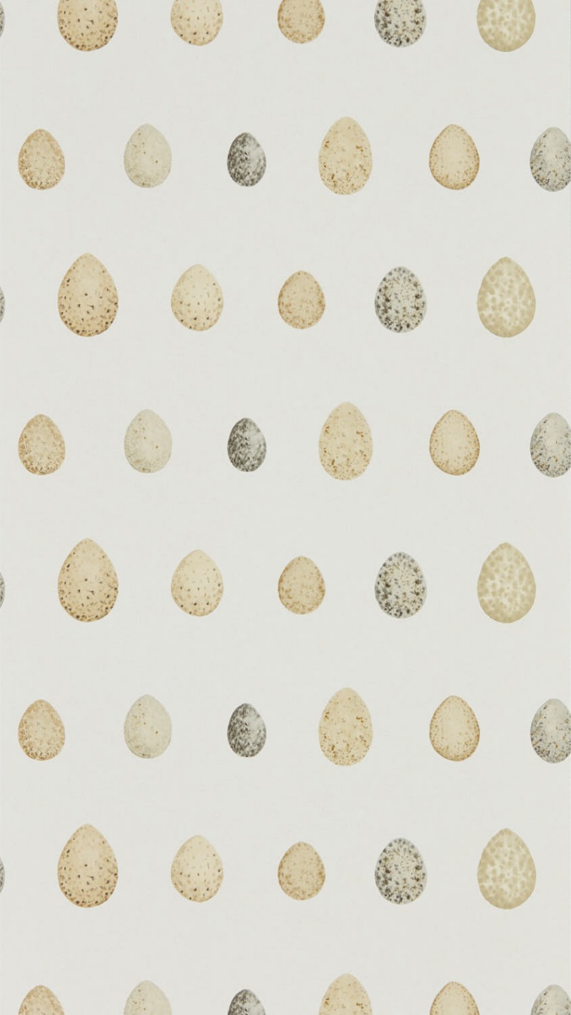Picture of Nest Egg Corn Graphite - DEBB216505
