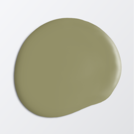 Picture of Wall paint - Colour W154 Garden by Anna Kubel