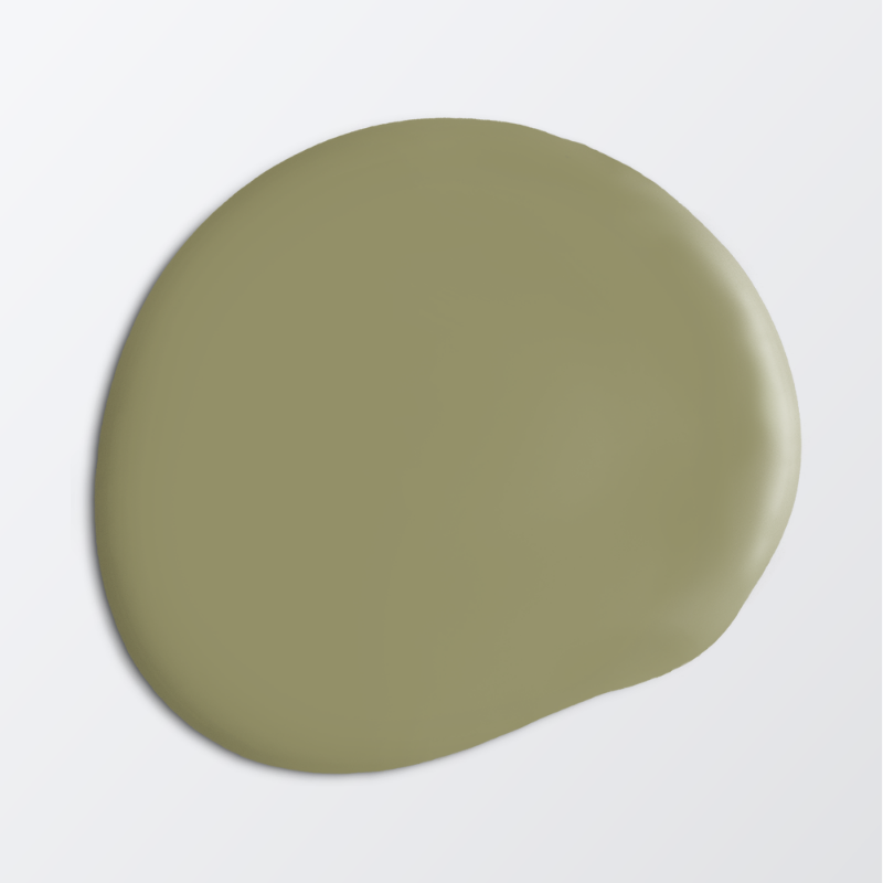 Picture of Ceiling paint - Colour W154 Garden by Anna Kubel