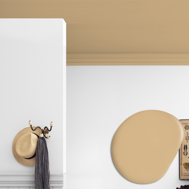 Image de Peinture pour plafond - Couleur W153 Honey Cream by Anna Kubel