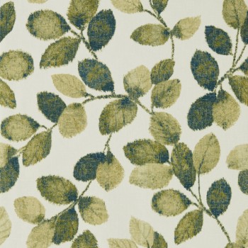 Picture of Olive/Peacock - W0159/03