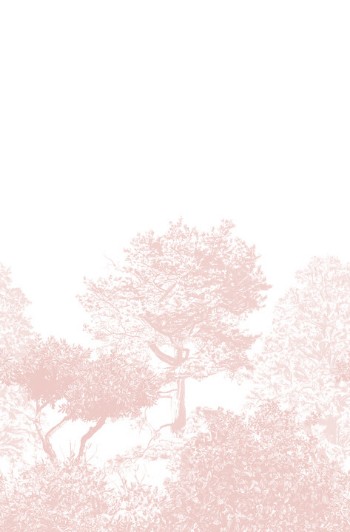 Picture of Hua Trees Mural Wallpaper - Pink - HUATREES04
