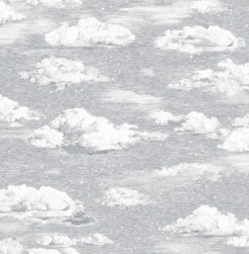 Picture of Winter Snowdrift - SEASONS10