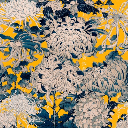 Bild på Chrysanthemums Yellow - WP20321