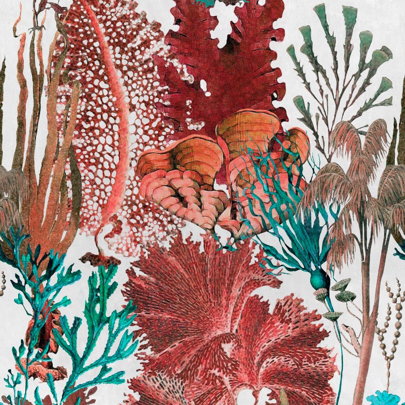 Picture of Coral Reef - WP20299