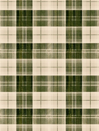 Picture of Countryside Plaid Beechnut - WP30010