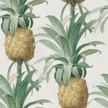 Picture of Ananas - WP20090
