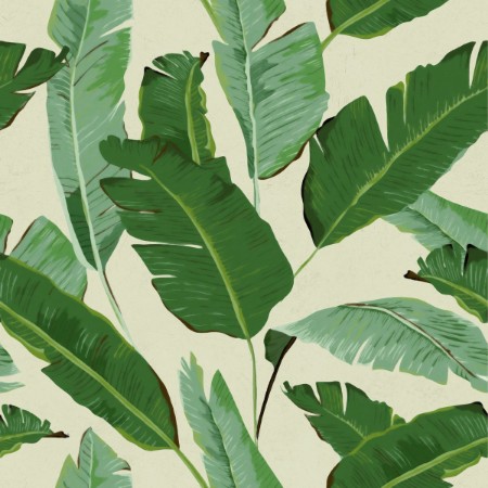 Picture of Banana Leaves - WP20111
