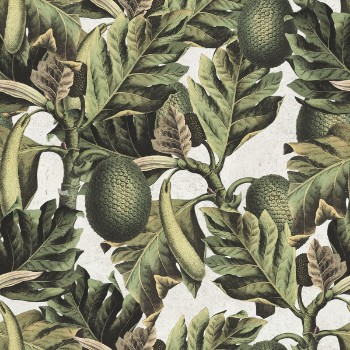 Picture of Exotic Fruit I - WP20097