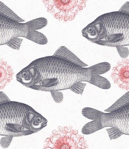 Picture of Fish Neutral - WP20008