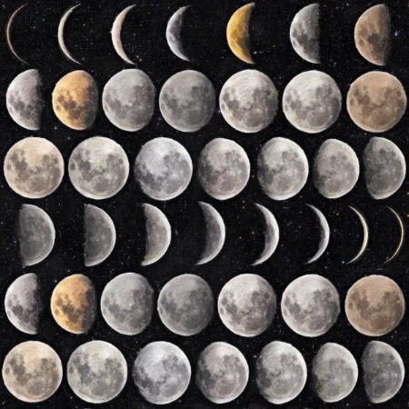 Picture of Moon Phases - WP20066