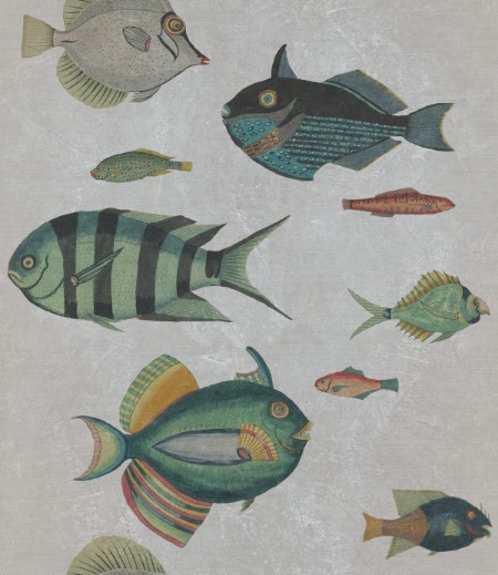 Picture of Poissons Grey - WP20182
