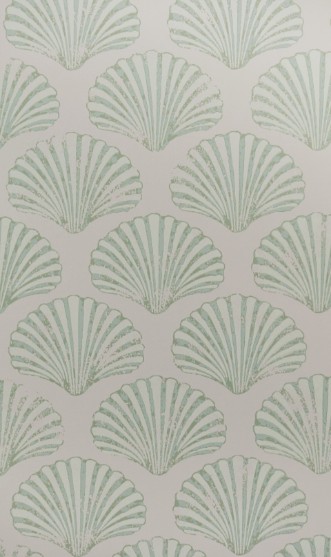 Picture of Scallop Shell - Plaster/Green - BG2100102